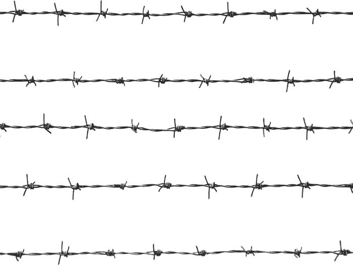 Barbed Wire PNG - 53488