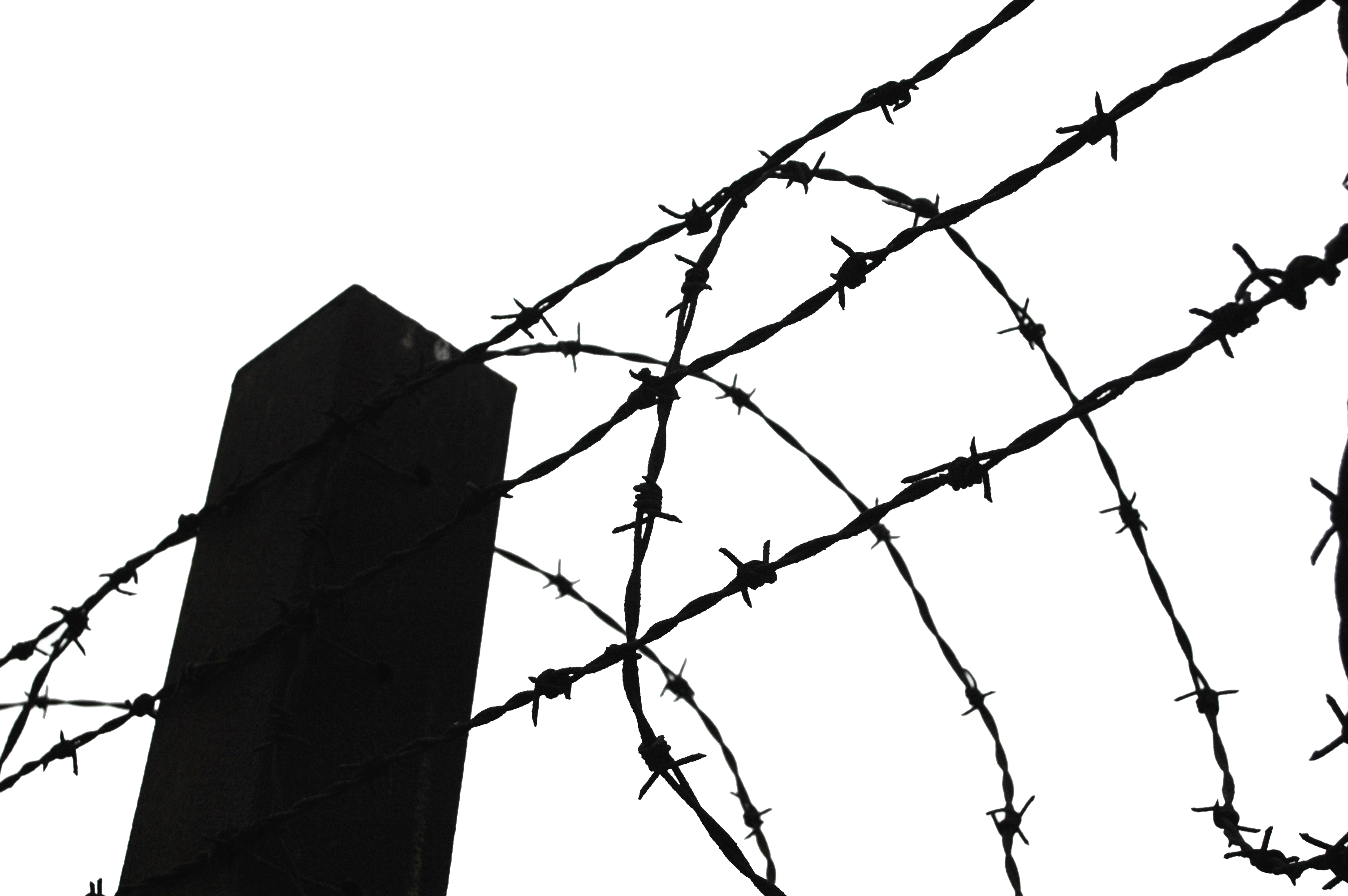 Barbwire HD PNG - 94378