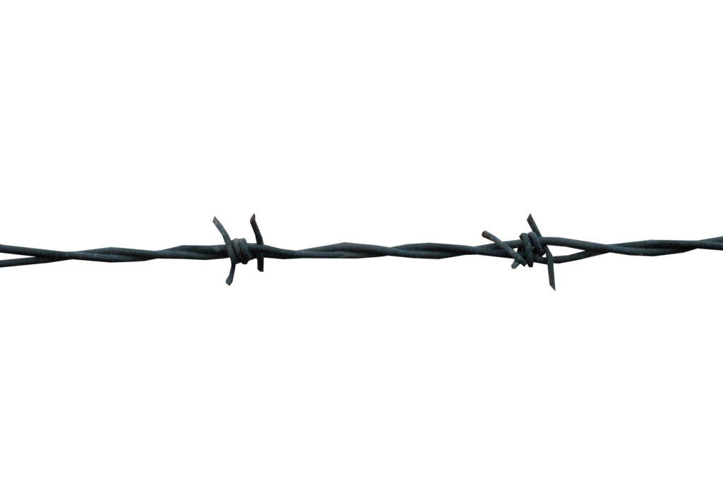 . PlusPng.com Barbed Wire PNG