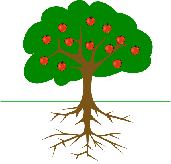 Apple Tree Stage 1