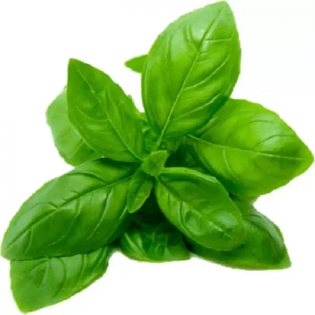 basil leaf material, Green, V