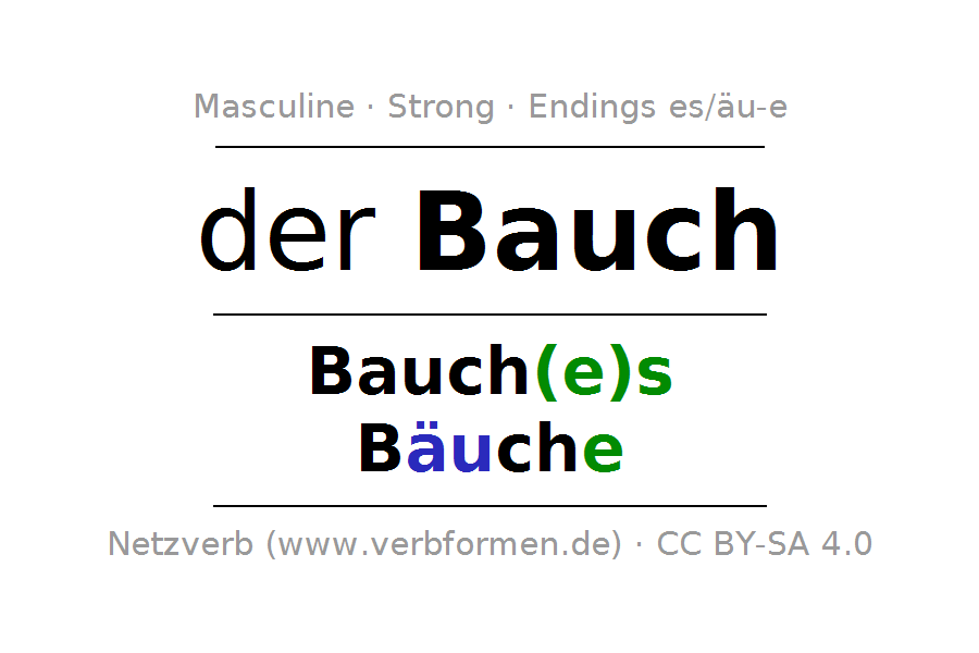 Bauch PNG - 151609