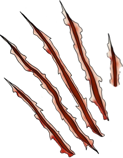 Bear Claw Scratch PNG - 145524