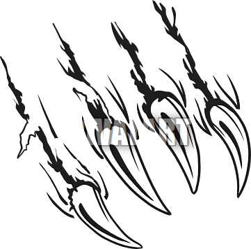 Bear Claw Scratch PNG - 145515