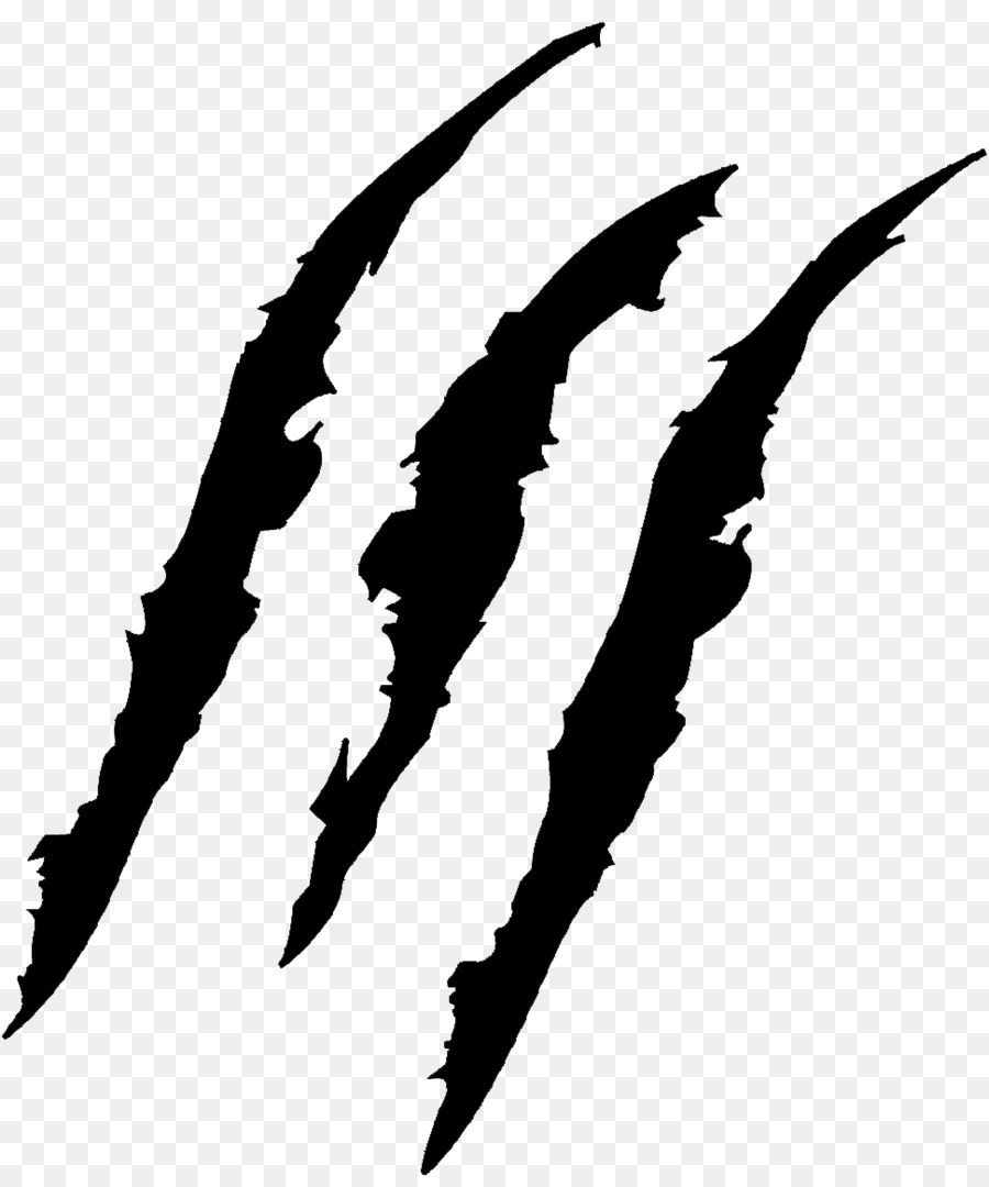 Claw scratch mark. Vector bea