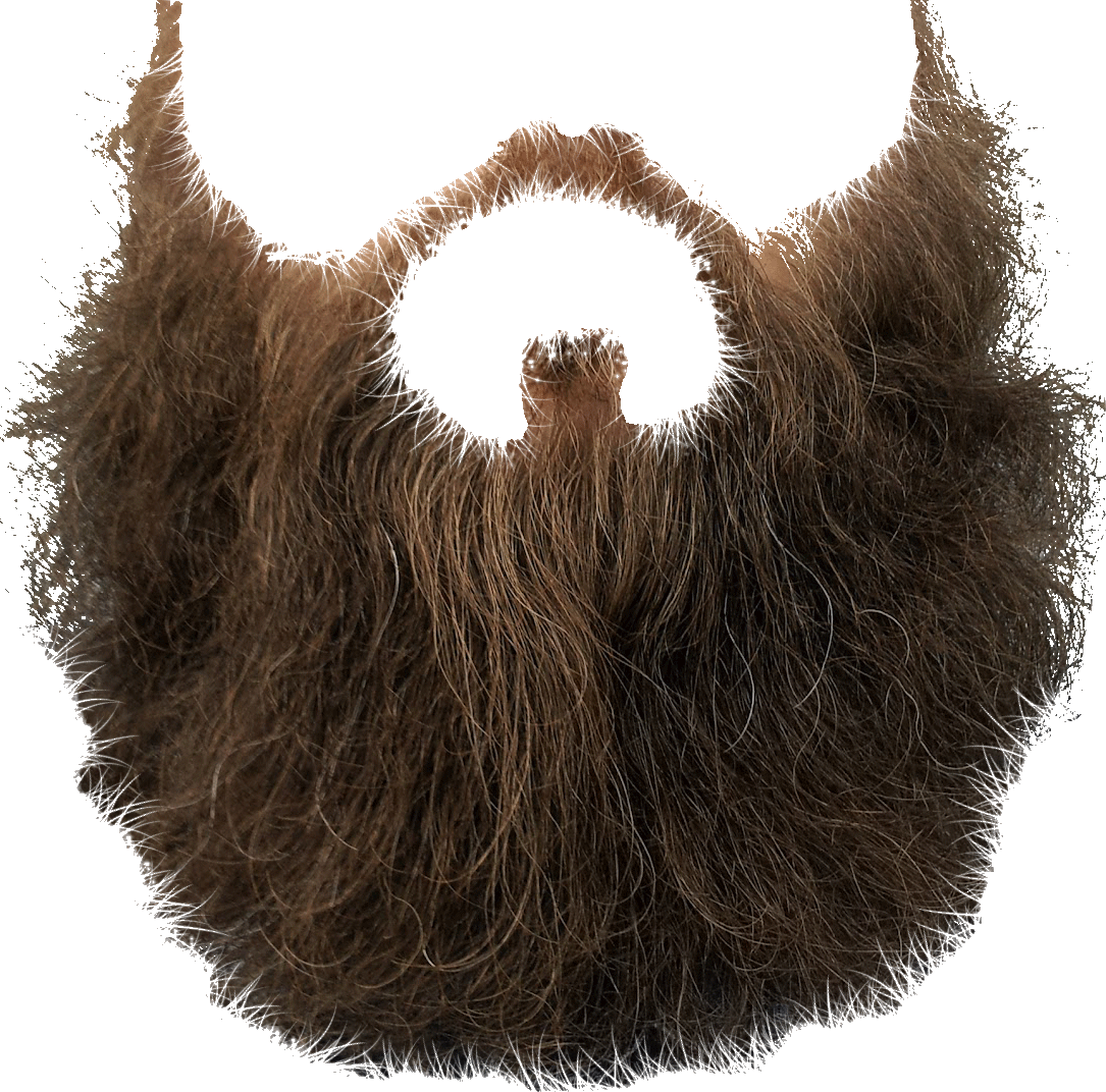 Beard PNG image #858