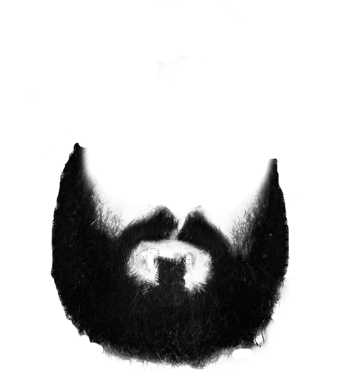 Beard PNG image #858