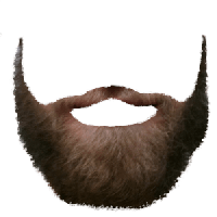 Beard PNG image