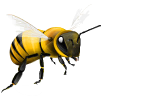 Bee Free PNG - 148102