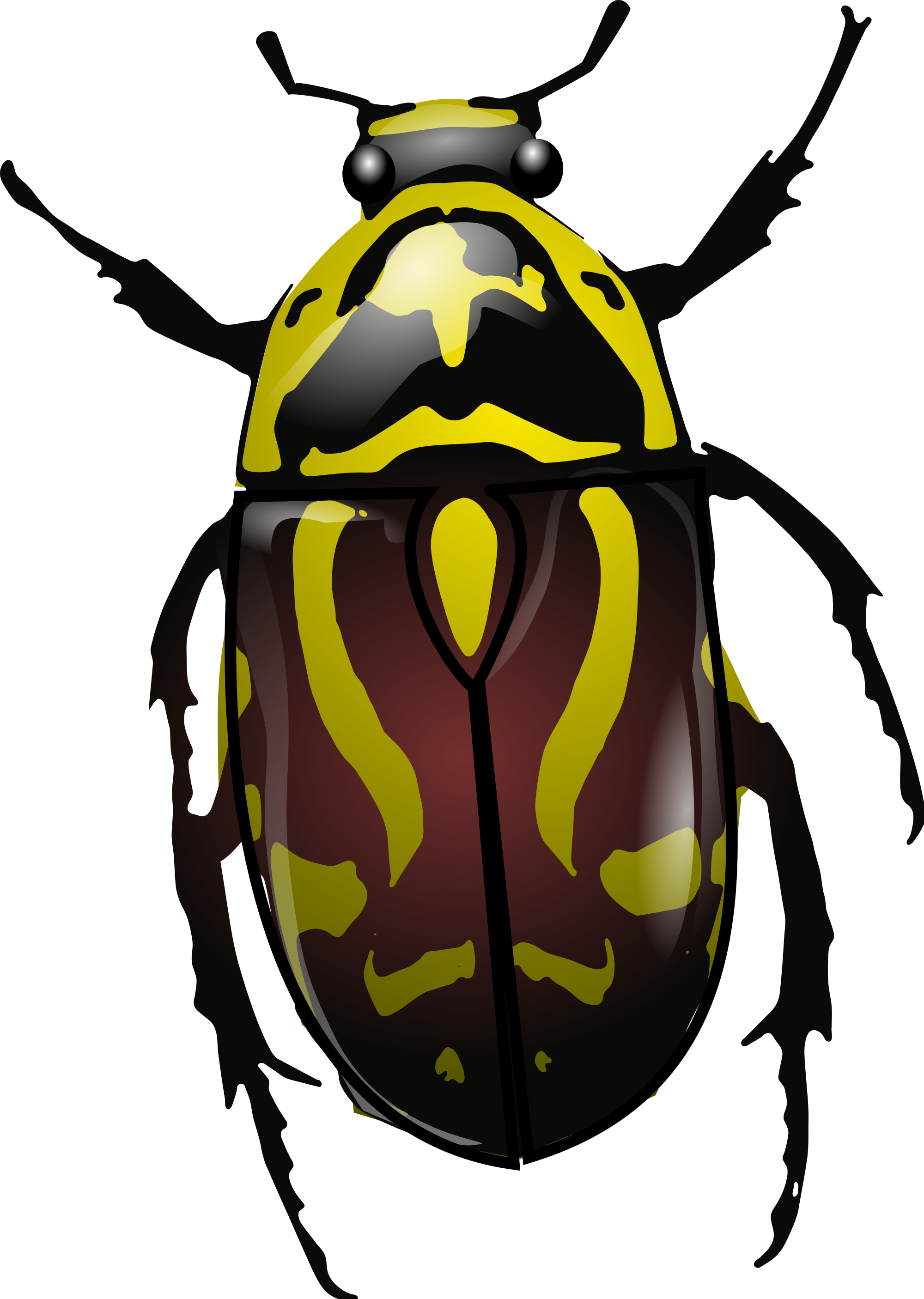 Beetle PNG - 8280
