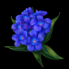 Bluebell flower by TheWonderB