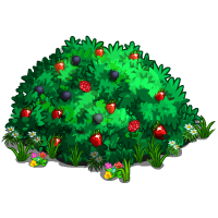 20 Free Tree PNG Images - Cal