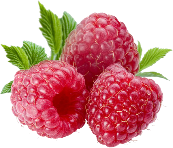 Berry PNG HD - 126322