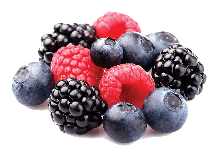 Berry PNG HD - 126318
