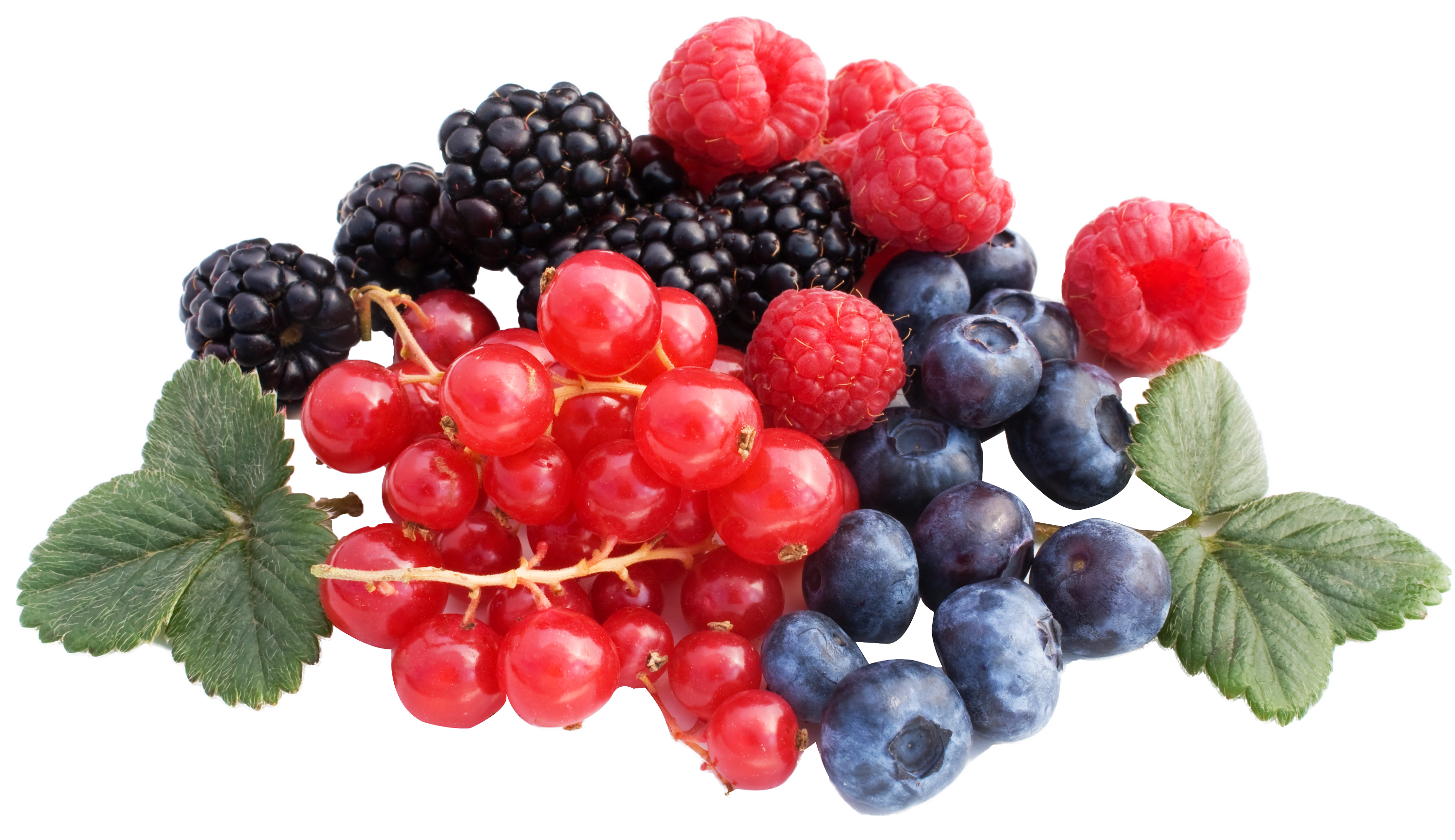 Berry PNG HD - 126312