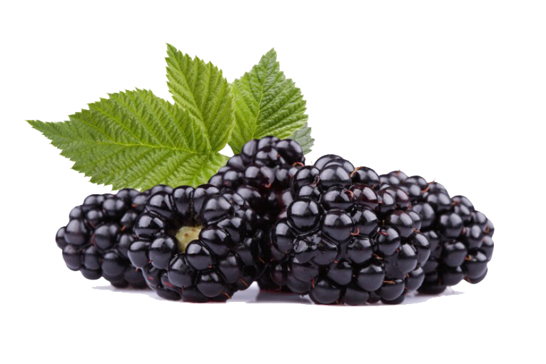 Berry PNG HD - 126319
