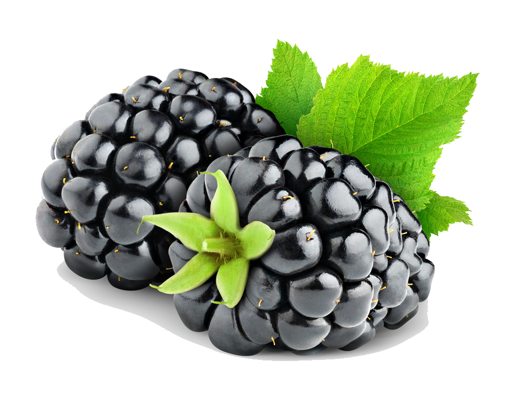 Berry PNG HD - 126317