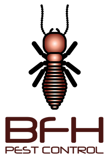 Bfh Vector PNG - 39514