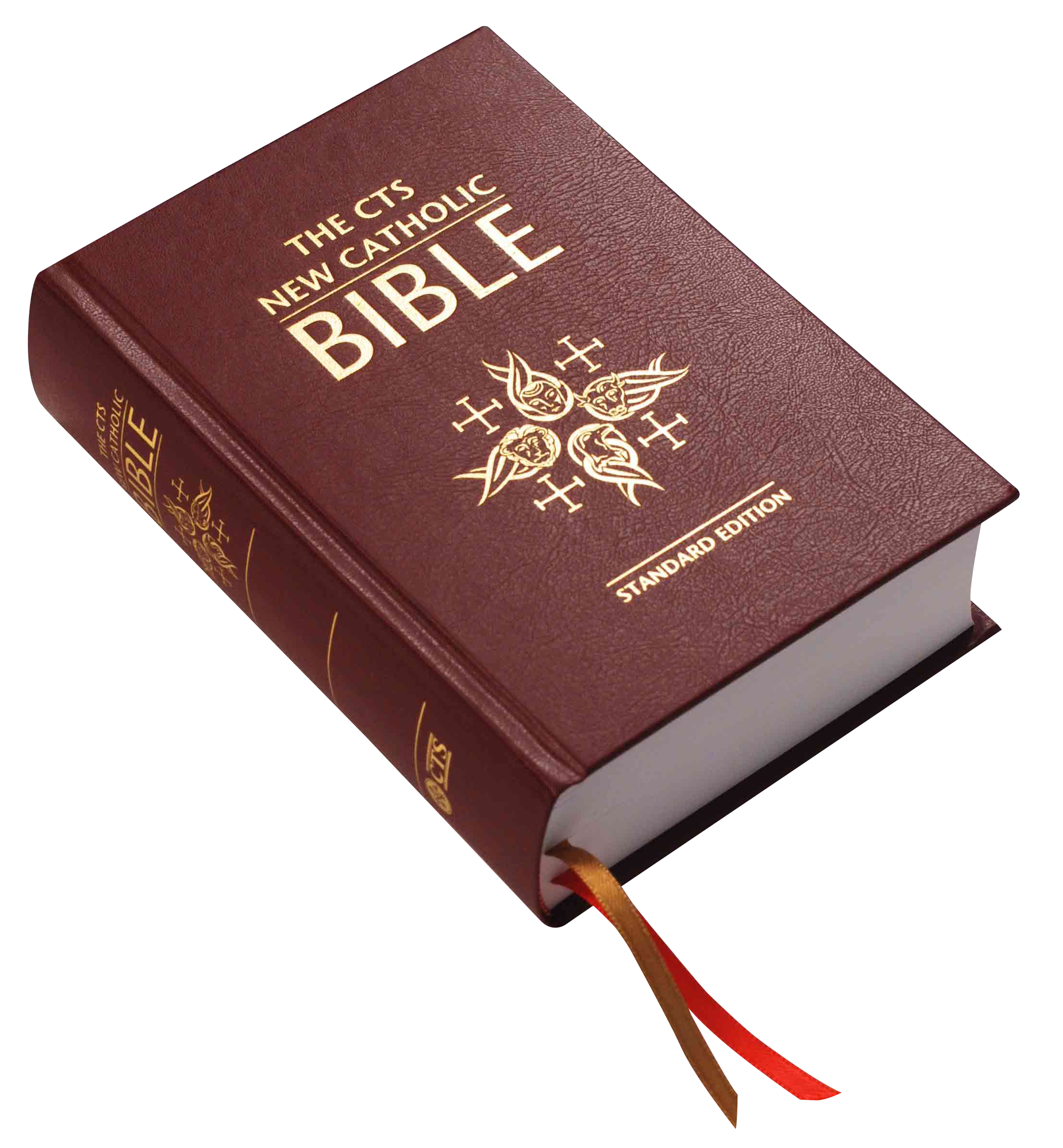 Open Bible, Turn On, Bible, B