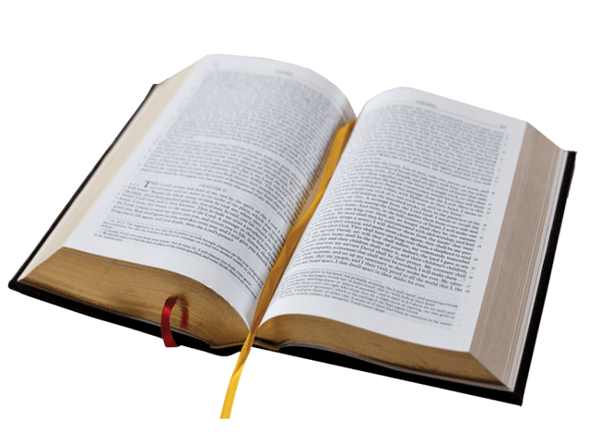 Heavy Christian Bible, Biblic