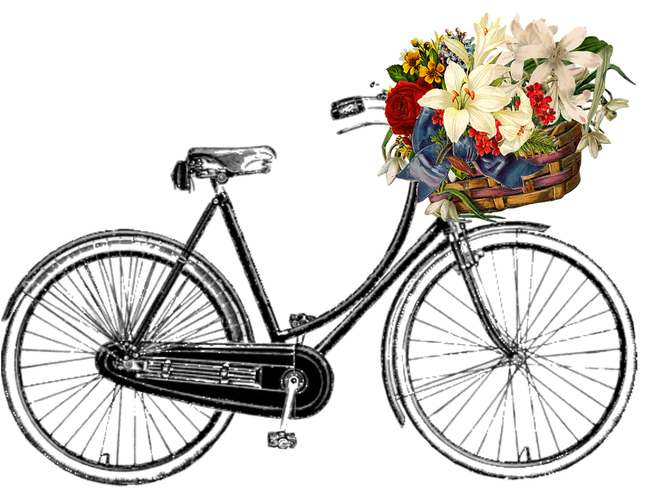 Bicycle HD PNG - 118960