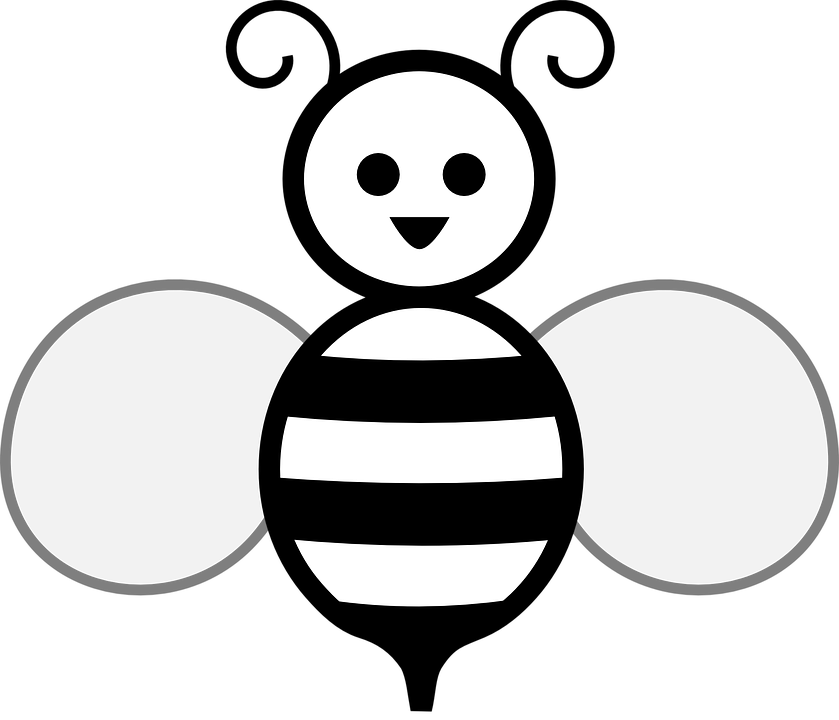Biene - Bienen, Insekten, Anl