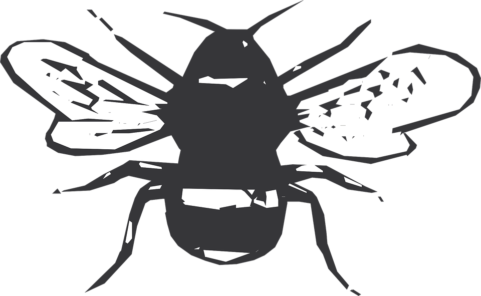Schwarz und weiß-Biene flieg