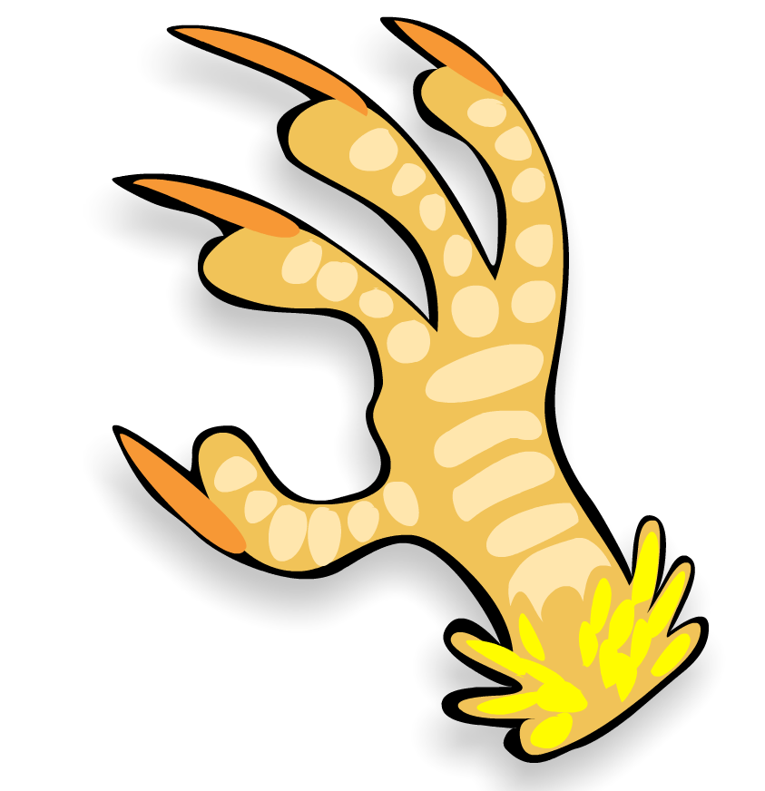 Bird Claw PNG - 149112