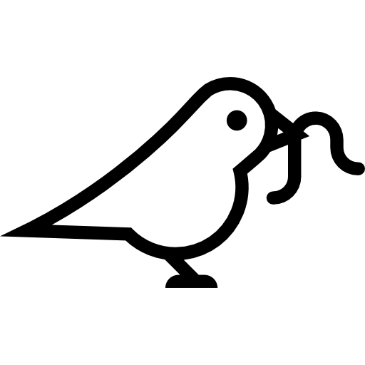 Black and White Bird Eating a
