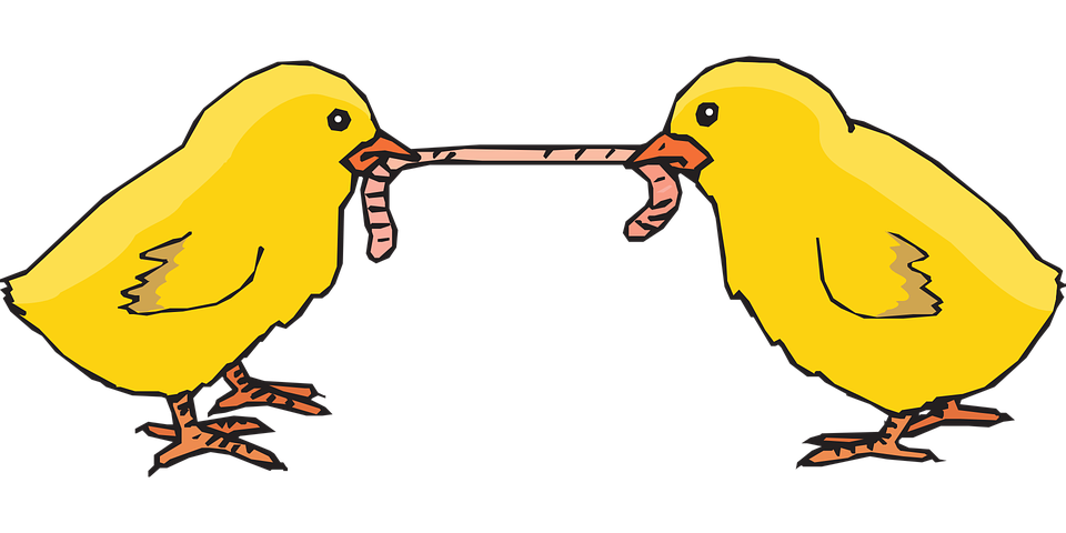 Bird With Worm PNG - 162741