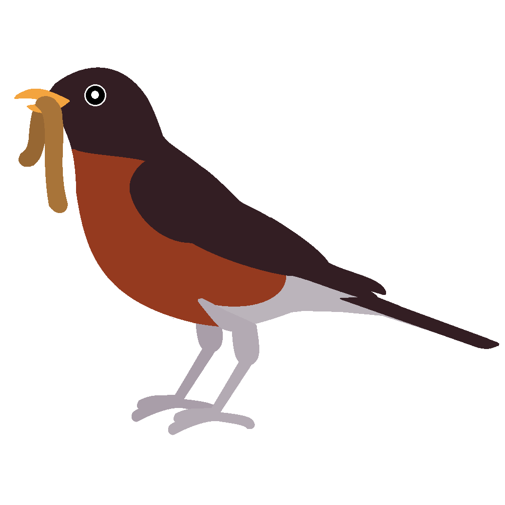 Bird With Worm PNG - 162735