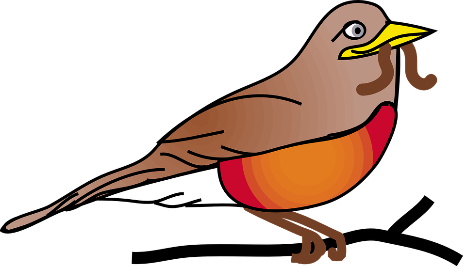 Bird With Worm PNG - 162727
