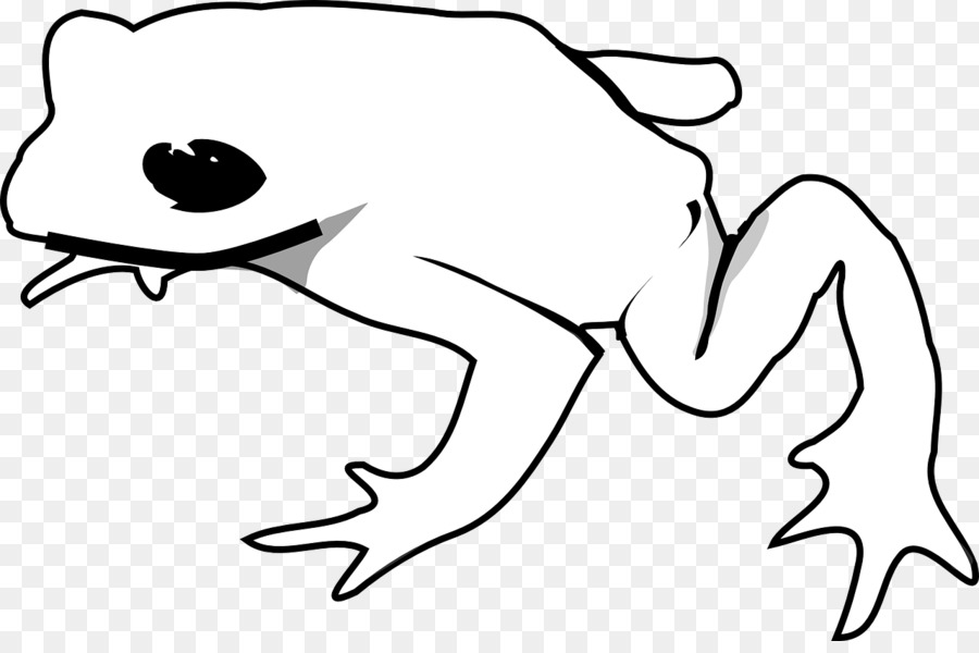 Black And White Frog PNG - 157941