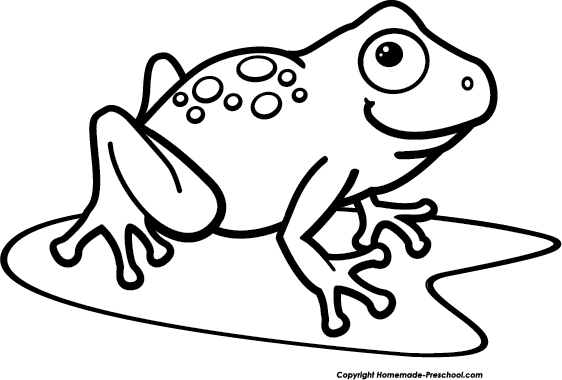 Black And White Frog PNG - 157924