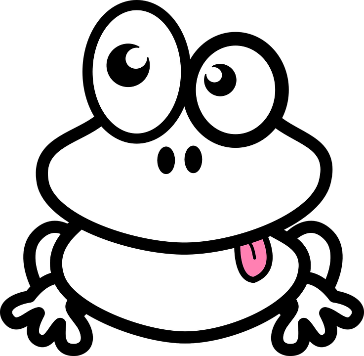 Black And White Frog PNG - 157940
