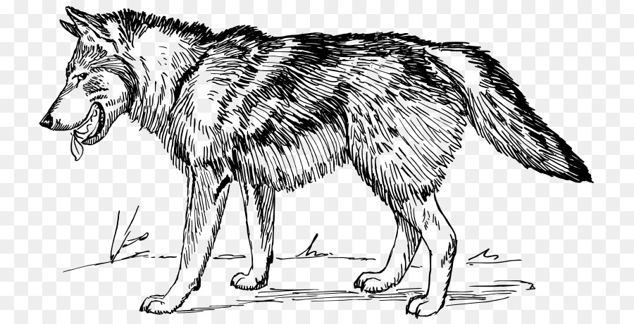 Arctic wolf Black wolf Clip a