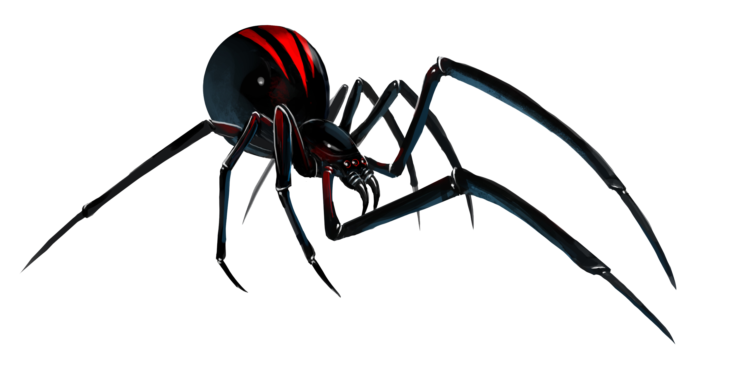 Spider PNG - 1369