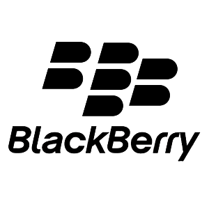 Blackberry Logo Vector PNG - 113766