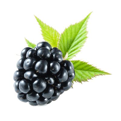 Blackberry Fruit Picture PNG 