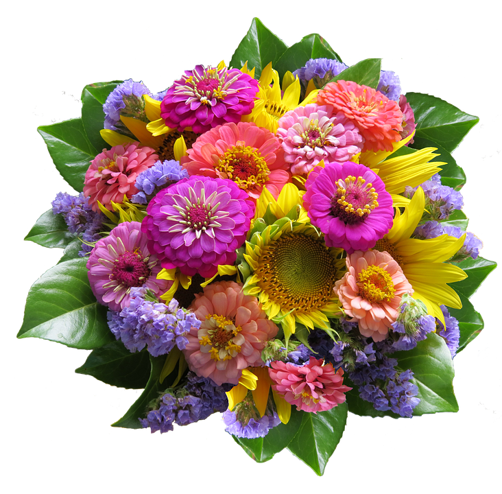 Blumen Bunt PNG - 148703