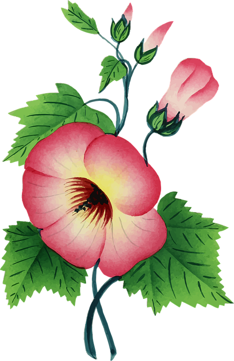 Blumen Bunt PNG - 148711