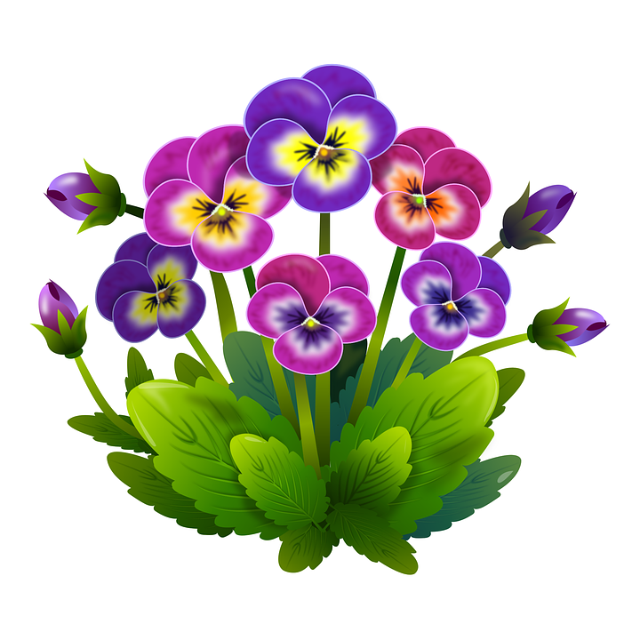 Blumen Bunt PNG - 148700