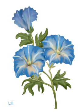 Blumenranke PNG Blau - 145294