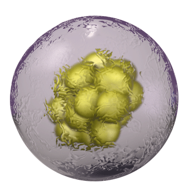 Body Cell PNG - 155968