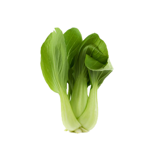 Bok Choy With Green Garlic u0