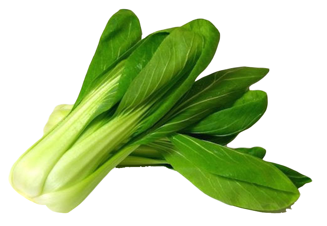 Bok Choy PNG Clipart