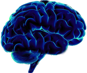 Brain Gears Icon Png image #2