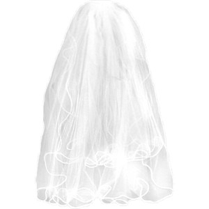Bridal Veil PNG - 56505