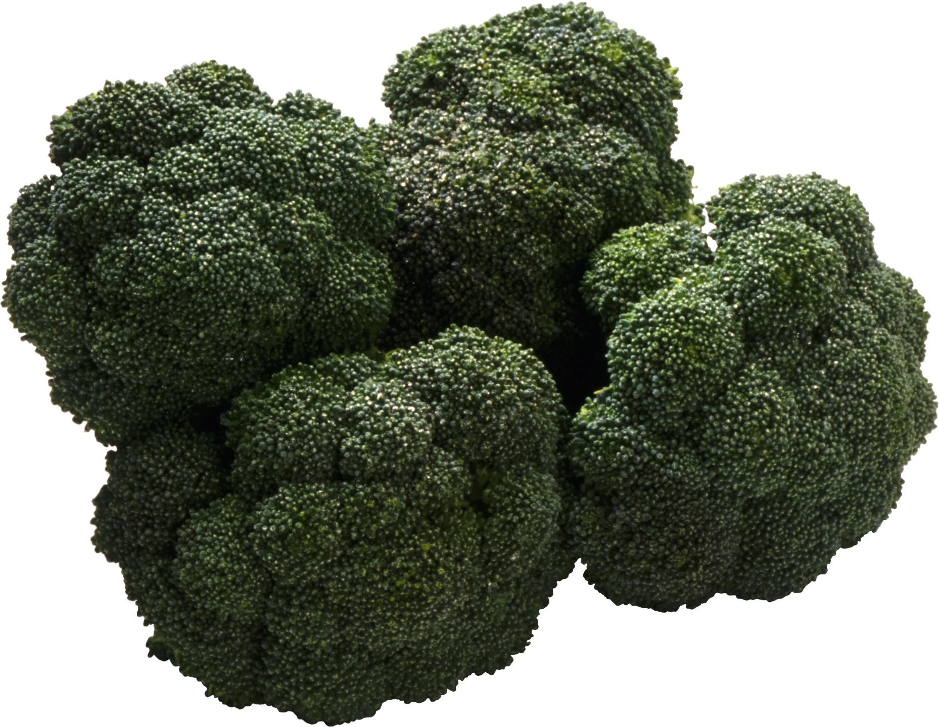 Broccoli HD PNG - 90459