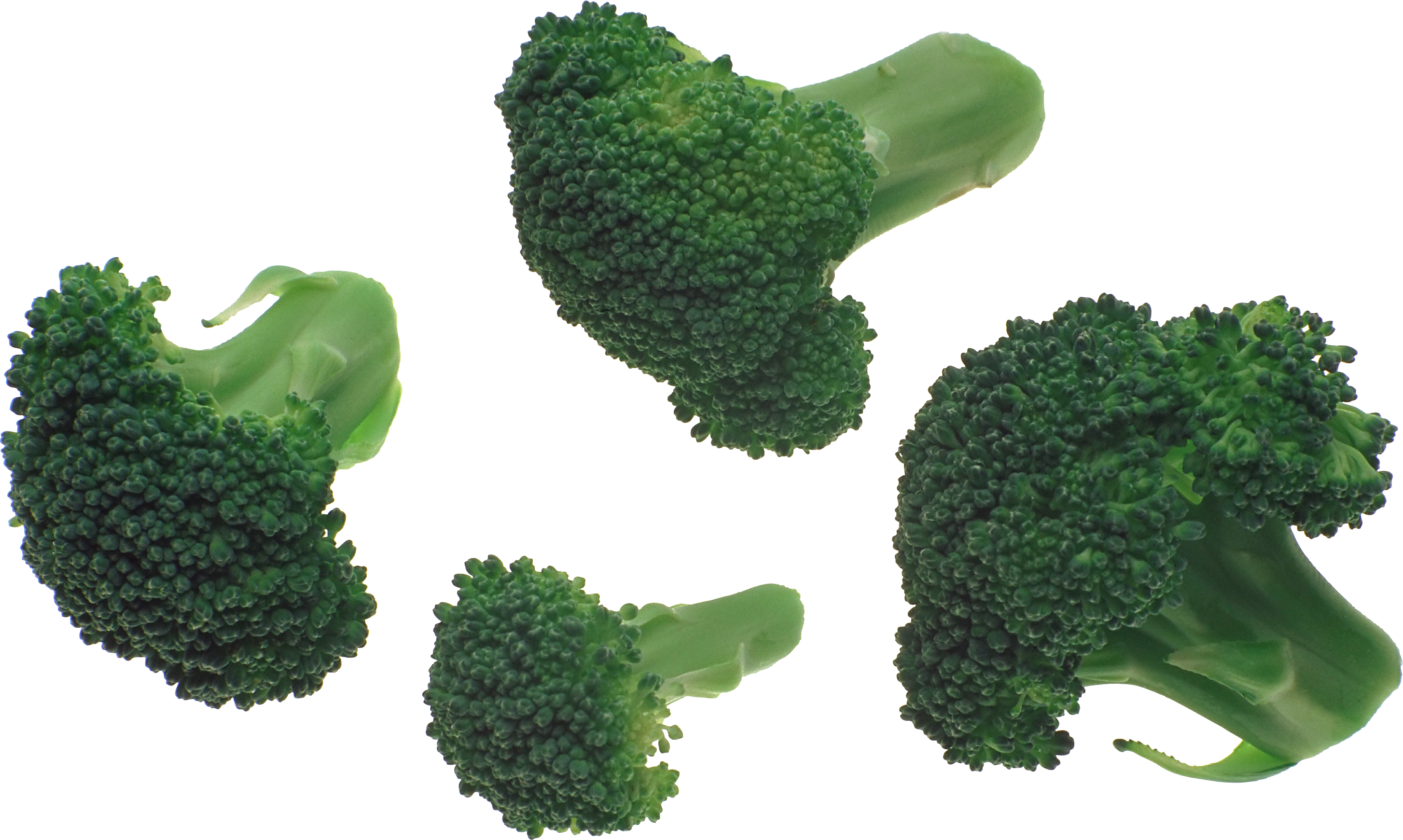 Broccoli HD PNG - 90458